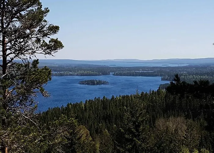 Peaceful And Scandinavian-Style Guesthouse With Scenic Nature And Seaview In High Coast