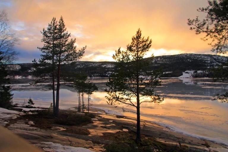Peaceful And Scandinavian-style With Scenic Nature And Seaview In High Coast *